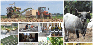 Poljoprivredna emisija BOJE ZEMLJE 27.6.2020.