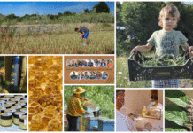 Poljoprivredna emisija BOJE ZEMLJE 30.5.2020.