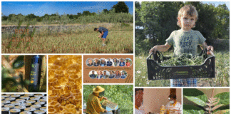 Poljoprivredna emisija BOJE ZEMLJE 30.5.2020.