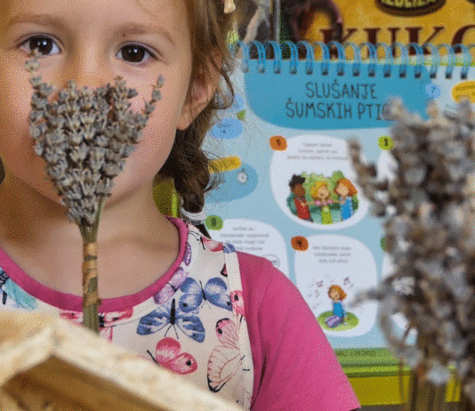 Projekt aromatičnog i ljekovitog bilja u vrtiću Tratinčica