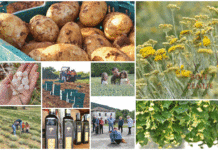 Poljoprivredna emisija BOJE ZEMLJE 13.6.2020.