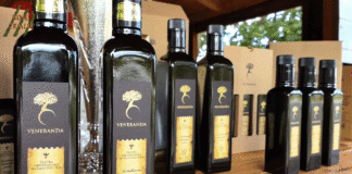 SIN AGRO PREDSTAVLJA: Veneranda