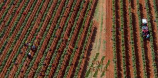 U nedjelju 4.10. kreće nova sezona poljoprivredne emisije Boje zemlje