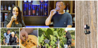 Poljoprivredna emisija Boje zemlje 04.10.2020.