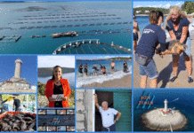 Boje zemlje – emisija o moru 11.10.2020.