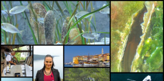 Plavo izdanje emisije Boje zemlje 25.10.2020.