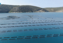 Rast potrošnje proizvoda ribarstva i akvakulture