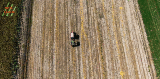 Berba bučinih sjemenki