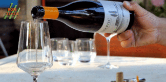 Tinja wine by Emil Perdec: Vinarija Diković