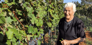 Devedeset i devet joj je godina tek – Nona Albina iz Krnice