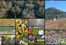 Poljoprivredna emisija Boje zemlje 1.11.2020.