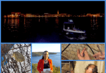 Boje zemlje emisija o moru 8.11.2020.