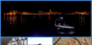 Boje zemlje emisija o moru 8.11.2020.