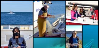 Boje zemlje emisija o moru 22.11.2020.