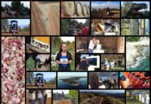 Poljoprivredna emisija Boje zemlje 15.11.2020.