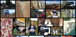 Poljoprivredna emisija Boje zemlje 15.11.2020.