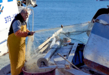 Sastanak ministrice poljoprivrede s ribarima u Umagu: Problem Savudrijske vale