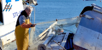 Sastanak ministrice poljoprivrede s ribarima u Umagu: Problem Savudrijske vale