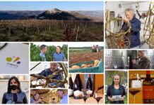 Poljoprivredna emisija Boje zemlje 29.11.2020.