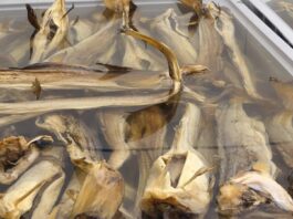 Proizvodnja istarskog bakalara