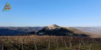 Završen slučaj teran