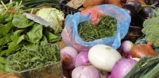 DOMAĆE OD MALIH NOGU: Istarski LAGovi žele domaće proizvode u školama i vrtićima