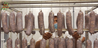 Istrijana – suhomesnati proizvodi od autohtonih istarskih pasmina