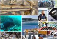 Boje zemlje emisija o moru 20.12.2020.