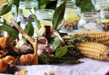 U Društvenom vrtu Gregovica prva jesenska radionica – čuvanje sjemena i praktične vrtlarske tehnike