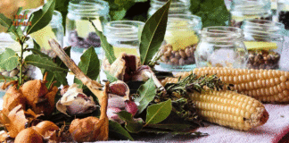 U Društvenom vrtu Gregovica prva jesenska radionica – čuvanje sjemena i praktične vrtlarske tehnike