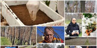 Poljoprivredna emisija Boje zemlje 24.01.2021.