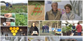 Poljoprivredna emisija BOJE ZEMLJE 21.02.2021.