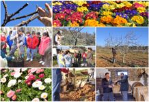 Poljoprivredna emisija Boje zemlje 7.3.2021.