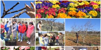 Poljoprivredna emisija Boje zemlje 7.3.2021.