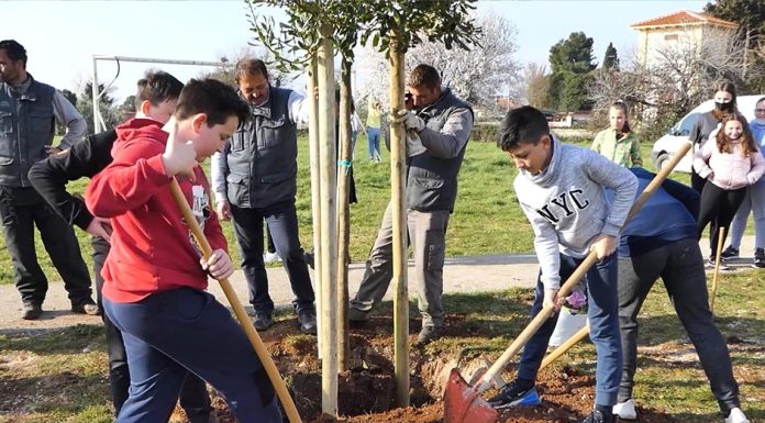 Zasadi stablo, ne budi panj – kolektivna sadnja drveća u Hrvatskoj