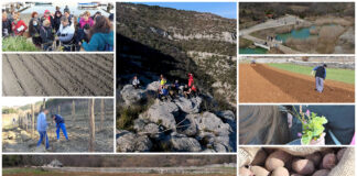 Poljoprivredna emisija Boje zemlje 21.03.2021.