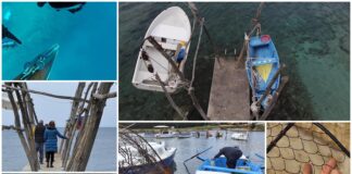 Boje zemlje emisija o moru 14.03.2021.