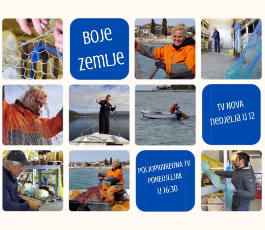 BOJE ZEMLJE emisija o moru 11.4.2021.