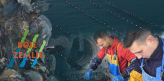 Pripreme za sezonu na uzgajalištima dagnji