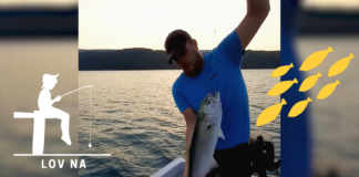 DEJAN TEKOVIĆ: Lov na strijelke