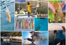 Boje zemlje emisija o moru 25.4.2021.