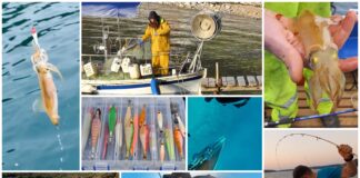 Boje zemlje emisija o moru 25.4.2021.