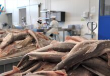 Ribarska zadruga Istra