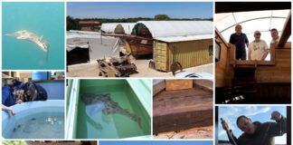 BOJE ZEMLJE emisija o moru 9.5.2021.