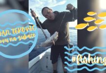 Dejan Teković: Lov na zubace