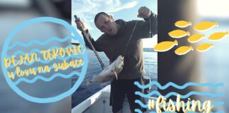 Dejan Teković: Lov na zubace