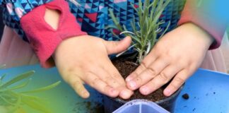 Obilježavanje Dana planeta Zemlje