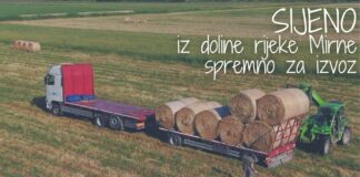 Sijeno iz doline rijeke Mirne spremno za izvoz