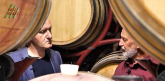 TINJA wine by Emil Perdec: Vinska kuća Pavlomir