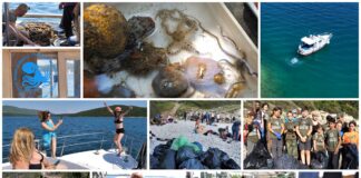 Boje zemlje emisija o moru 6.6.2021.